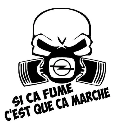 Stickers SI CA FUME OPEL