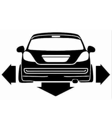 Stickers DOWN AND OUT PEUGEOT 207