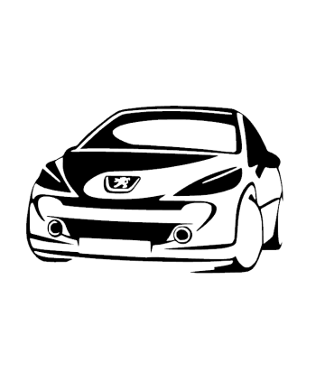 Stickers PEUGEOT 207 RC