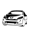 Stickers PEUGEOT 207 RC