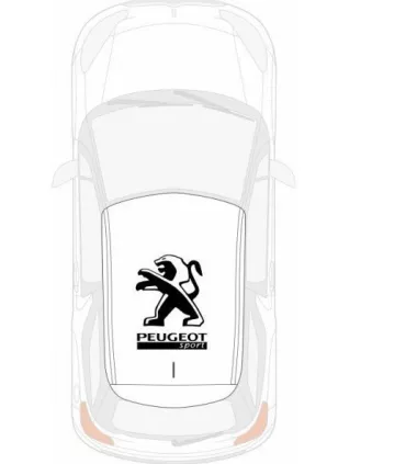 Stickers PEUGEOT DE TOIT