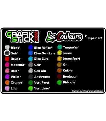 Stickers  GÉNÉRATION LAGUNA 3 "F BLANC" 1 Ligne