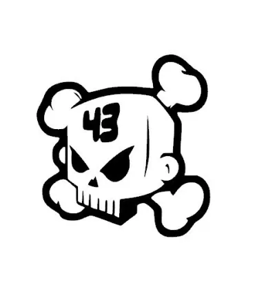 Stickers HOONIGAN KEN BLOCK #43
