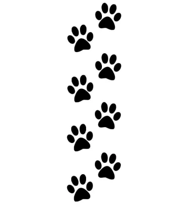 Stickers EMPREINTES DE CHIEN X4