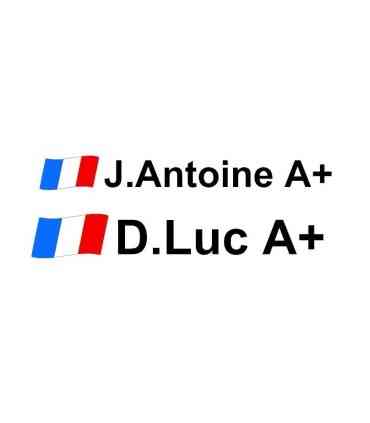 Lettrage Pilote X1