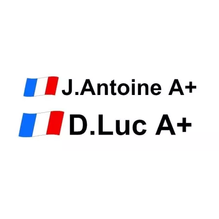 Lettrage Pilote X1