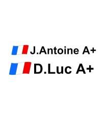 Lettrage Pilote X1