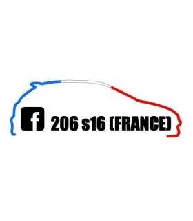 Stickers  206 S16 France Tri color 1