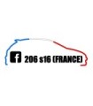 Stickers  206 S16 France Tri color 1