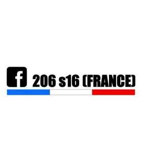Stickers  206 S16 France Tri color 3
