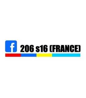 Stickers  206 S16 France PTS 1