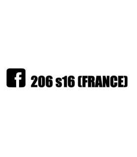 Stickers  206 S16 France