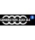 Stickers  GÉNÉRATION AUDI A4