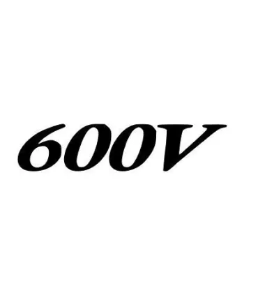 Stickers HONDA 600V