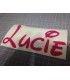 Stickers PRÉNOMS AU CHOIX STYLE DISNEY