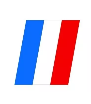 Stickers DRAPEAU FRANÇAIS 10 X 10cm