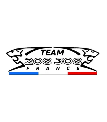 Stickers Team 208/308 France