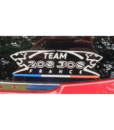 Stickers Team 208/308 France