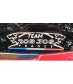 Stickers Team 208/308 France