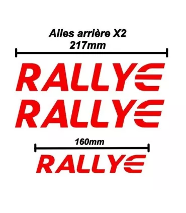 Lettrage Rallye X3 du Kit PTS
