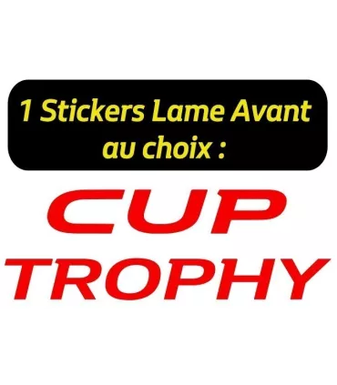 Pack complet  Clio 4 rs & Megane 3 / 4 rs