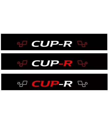 BANDEAU PARE SOLEIL RENAULT SPORT Cup-R