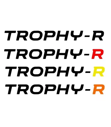 Stickers TROPHY-R pour lame AvantMEGANE 4RS