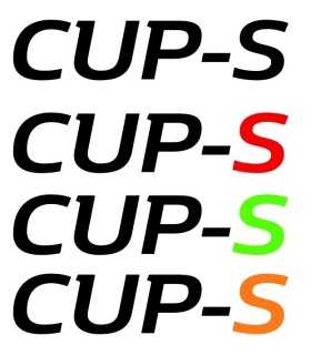 Stickers CUP-S pour lame Avant MEGANE 3RS