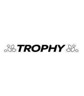 Stickers TROPHY + DAMIERS Pour lame de CLIO 4RS