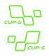 Paire de Stickers CUP-S de portes Megane
