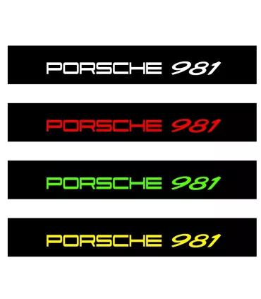 BANDEAU PARE SOLEIL PORSCHE 981