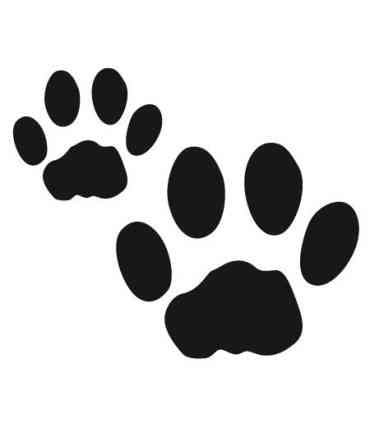 Stickers EMPREINTES DE CHIEN X2