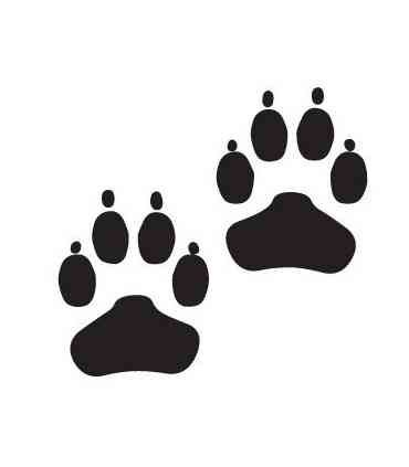 Stickers EMPREINTES DE CHIEN X2