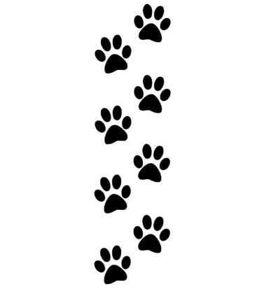 Stickers EMPREINTES DE CHIEN X4