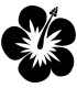 Stickers FLEUR HIBISCUS 4