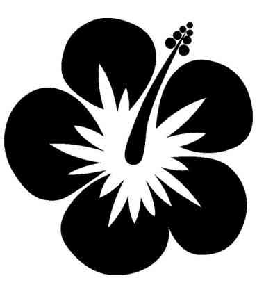 Stickers FLEUR HIBISCUS 4