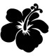 Stickers FLEUR HIBISCUS 5