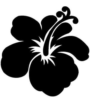 Stickers FLEUR HIBISCUS 5