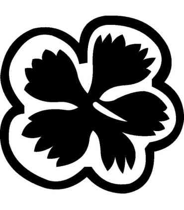 Stickers FLEUR HIBISCUS 6