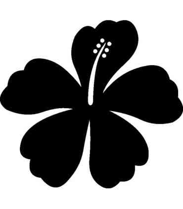 Stickers FLEUR HIBISCUS 8