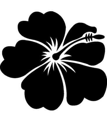 Stickers FLEUR HIBISCUS 9