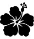 Stickers FLEUR HIBISCUS 11
