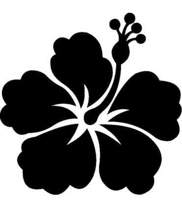 Stickers FLEUR HIBISCUS 11
