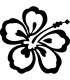 Stickers FLEUR HIBISCUS 12