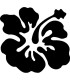 Stickers FLEUR HIBISCUS 14