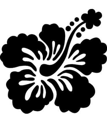 Stickers FLEUR HIBISCUS 16