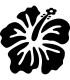 Stickers FLEUR HIBISCUS 18