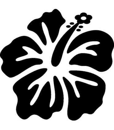 Stickers FLEUR HIBISCUS 18
