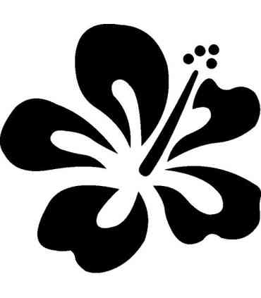 Stickers FLEUR HIBISCUS 19
