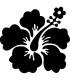 Stickers FLEUR HIBISCUS 20